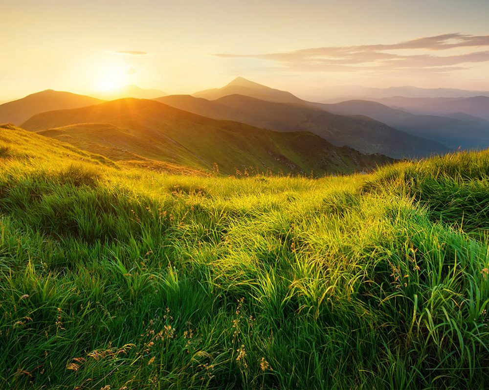 images-gallery-elements-image-2